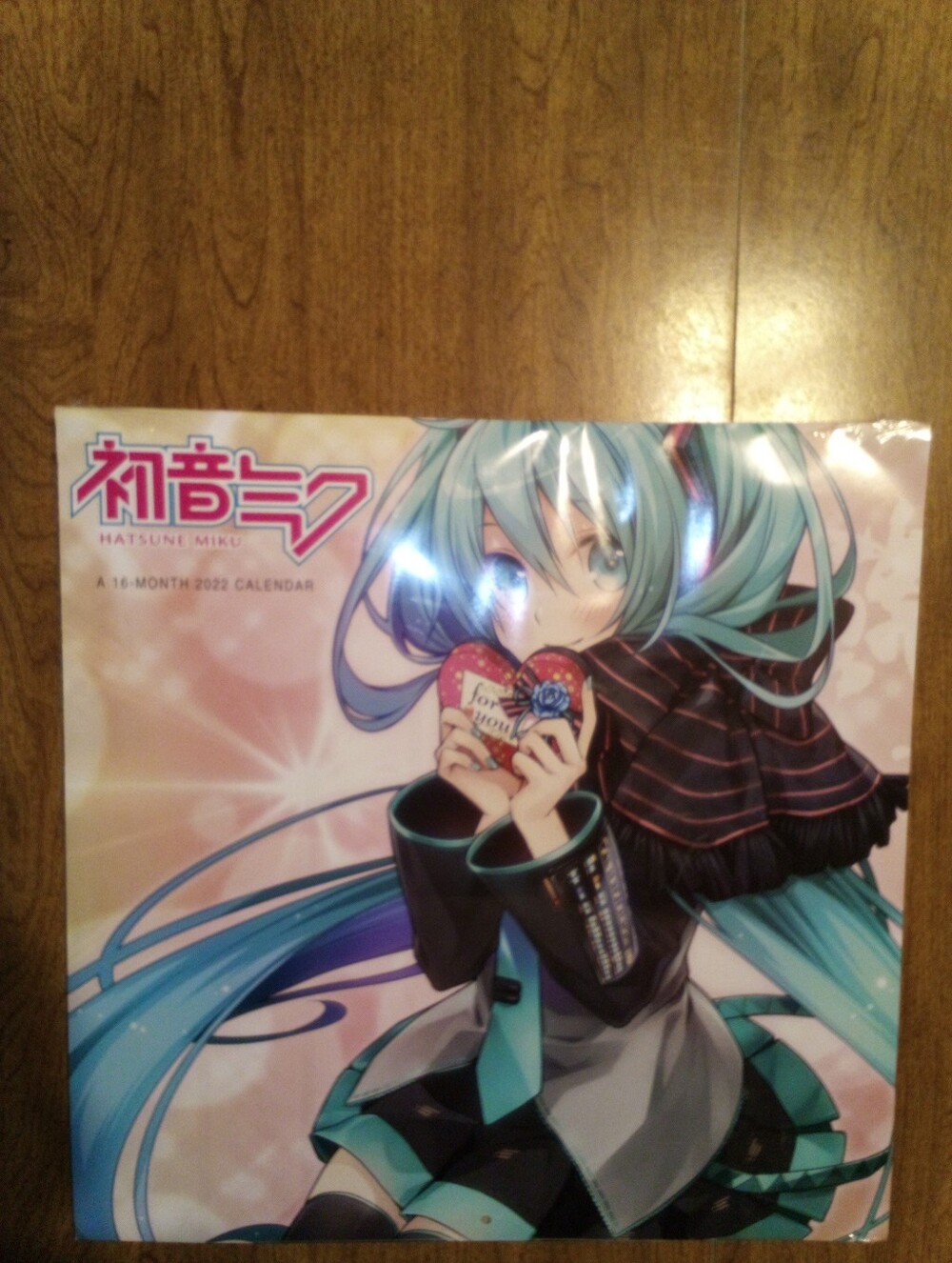 Hatsune Miku 16 Month 2022 Wall Calendar Double Time Double Page Layout Sealed
